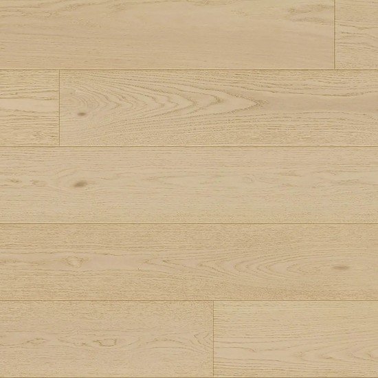 Fuzion Canvas - Lyric